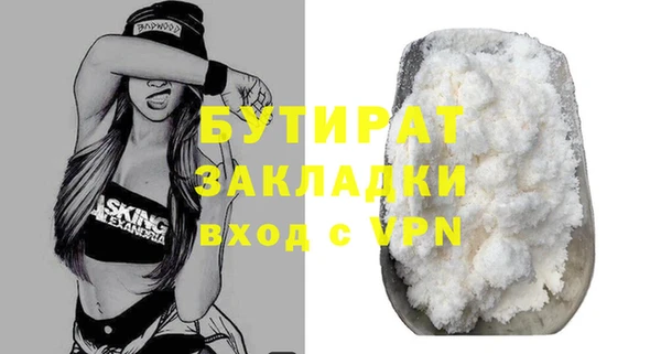 индика Вяземский