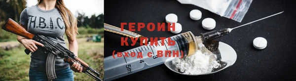 индика Вяземский
