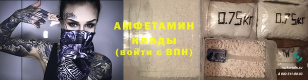 шишки Вязьма