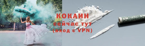 шишки Вязьма