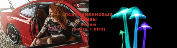 индика Вяземский