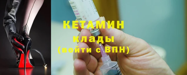 индика Вяземский