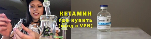 индика Вяземский