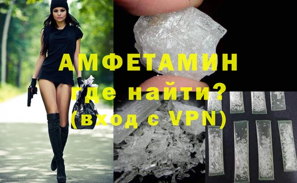 индика Вяземский