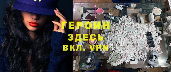 индика Вяземский