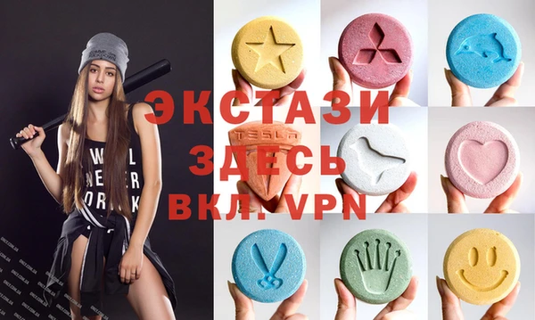 индика Вяземский