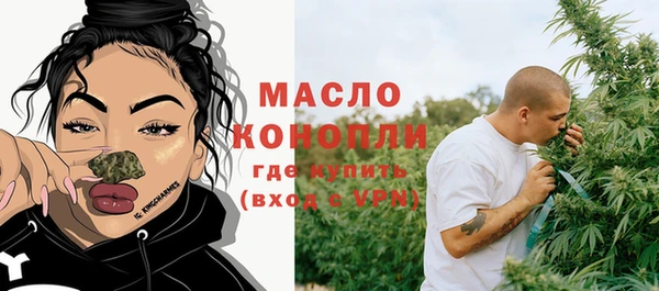 индика Вяземский