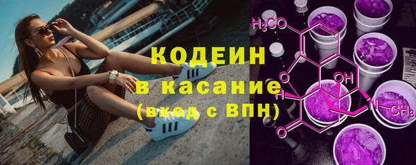 индика Вяземский