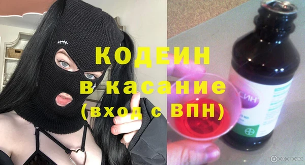 индика Вяземский
