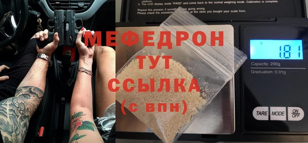 индика Вяземский