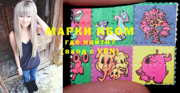 индика Вяземский