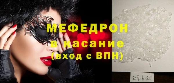 индика Вяземский