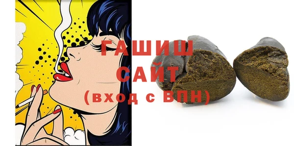 индика Вяземский