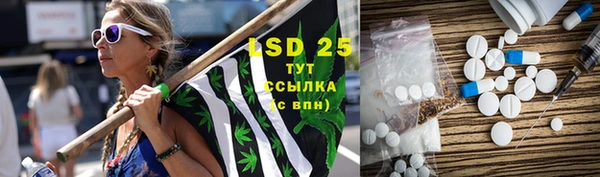 индика Вяземский