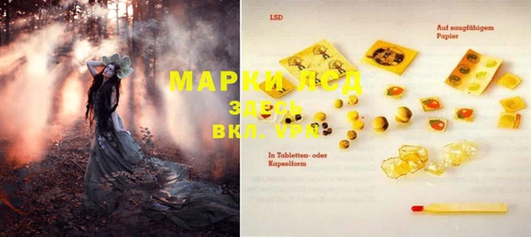 шишки Вязьма