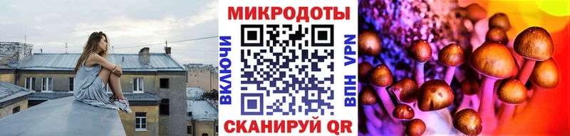 Галлюциногенные грибы мухоморы  кракен ССЫЛКА  Городовиковск 